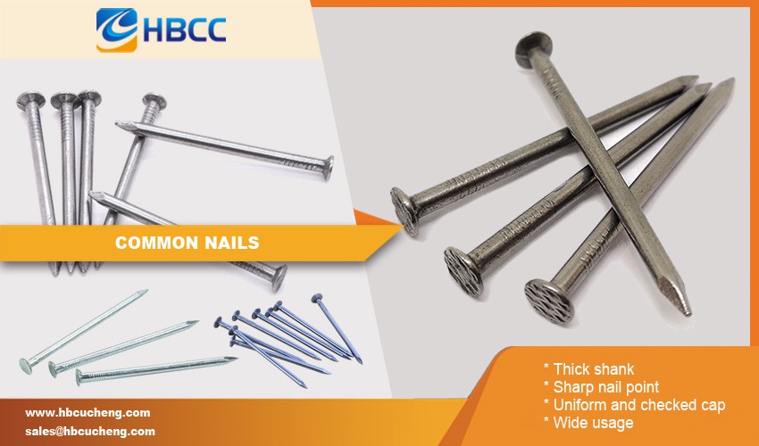 Carbon Steel Black Common Nails features Carbon Steel Black Common Nails features