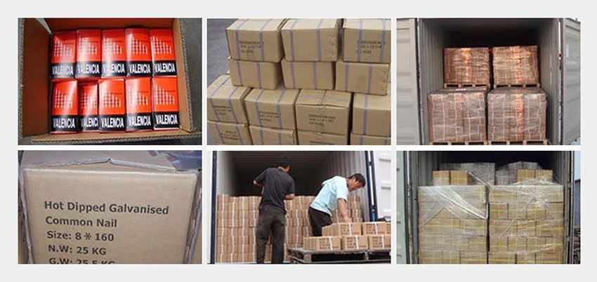 galvanized common nails package galvanized common nails package