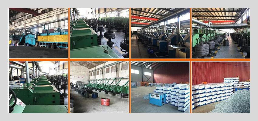 common nail factory common nail factory